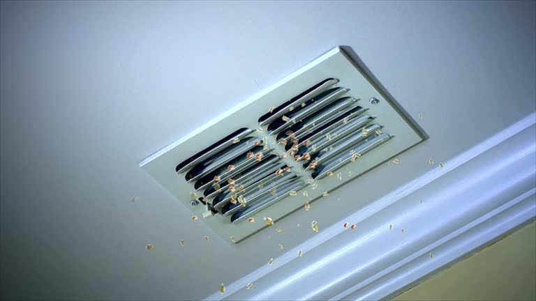 Ductwork Cleaning Services in WI
