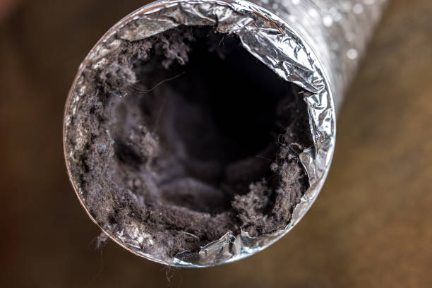 Best Affordable HVAC Duct Cleaning  in New Richmond, WI