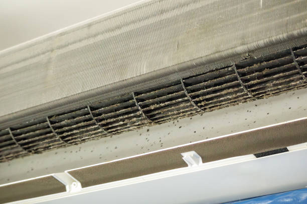 Best HVAC Air Duct Cleaning  in New Richmond, WI